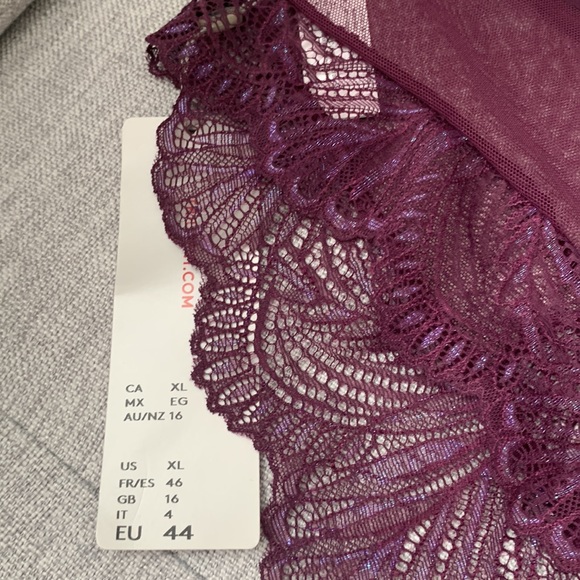 NWT Triumph Panties sz XL - Picture 5 of 8